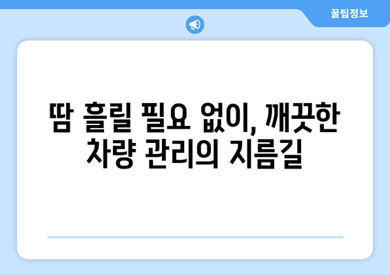 더운 날씨, 땀 흘리지 말고 집에서 실내 세차! | 출장 실내 크리닝, 편리한 세차 서비스