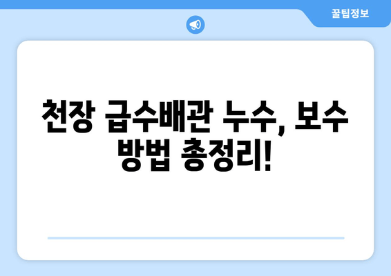 천정 급수배관 누수, 이제 걱정하지 마세요! | 누수 차단, 보수 방법, 전문가 추천