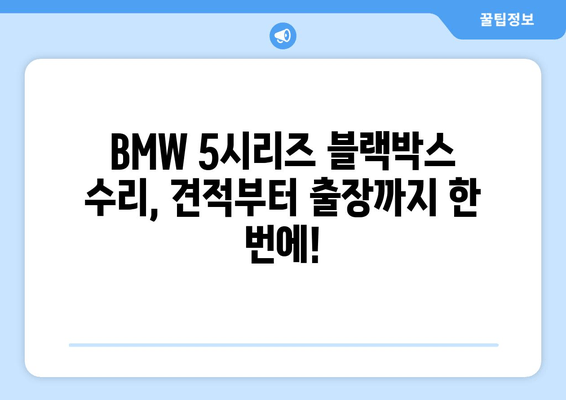 BMW 5시리즈 블랙박스 고장, 출장 시공 비용 상세 안내 | 블랙박스 수리, 출장 서비스, 견적