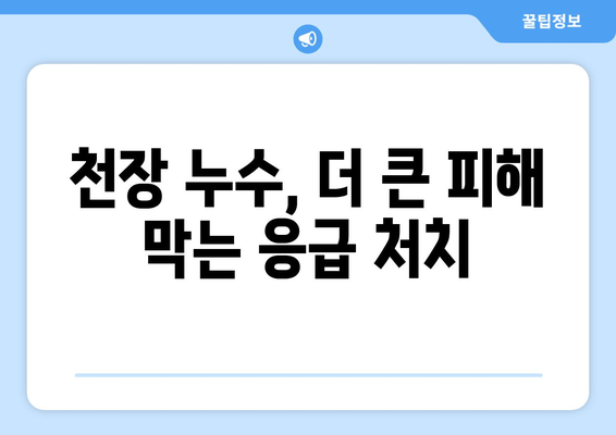 군포 천정 급수배관 누수? 즉각적인 해결책과 차단 방법 | 누수, 급수배관, 천장 누수, 보수, 군포