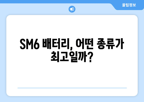 SM6 출장 배터리 교체, 어떤 배터리가 최고일까요? | SM6, 배터리 교체, 출장 서비스, 추천