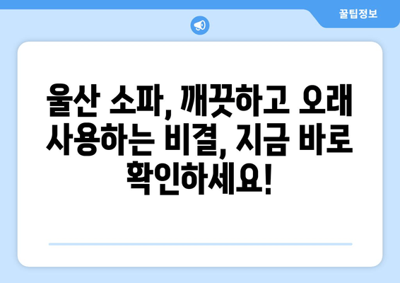 울산 소파 관리의 편리함| 의뢰부터 출장 서비스까지 한 번에 | 소파 청소, 수리, 배송, 울산 가구 관리