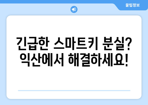 익산 스마트 키 분실했을 때? 복사 제작 안내 | 익산, 스마트키, 분실, 복사, 제작, 자동차키, 긴급