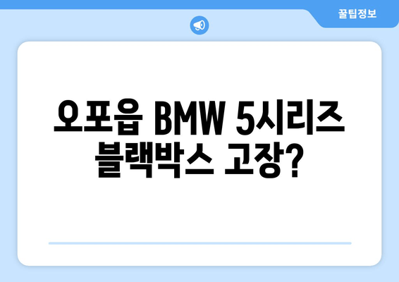 오포읍 BMW 5시리즈 블랙박스 고장? 만도 PX1000 전문가 출장 수리 | 블랙박스 수리, 출장 서비스, 오포, 만도