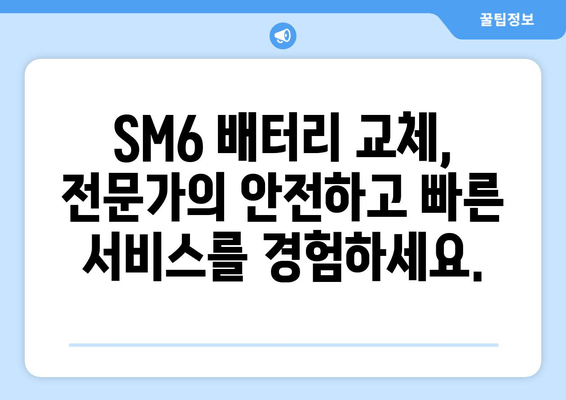 SM6 배터리 출장 교체 서비스| 편리하고 빠르게! | 자동차 배터리, 출장 교체, SM6, 배터리 교체, 배터리 방전