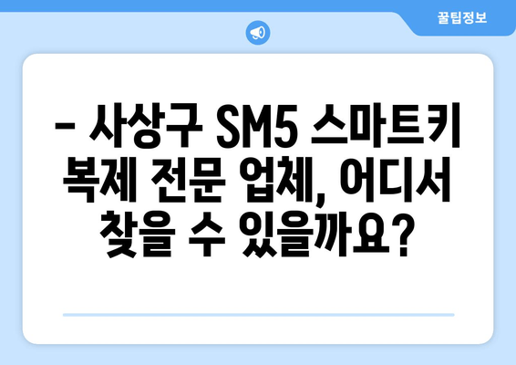 사상구 SM5 스마트키 복사, 출장 서비스점 비용 얼마? | 차키 분실, 스마트키 복제, 출장 서비스, 비용 안내