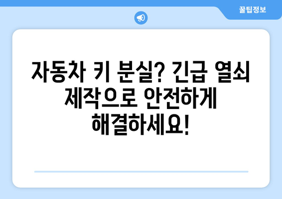 안산 자동차 열쇠 복사 출장 지원| 빠르고 안전하게 해결하세요! | 24시간 출장, 긴급 열쇠 제작, 자동차 키 분실