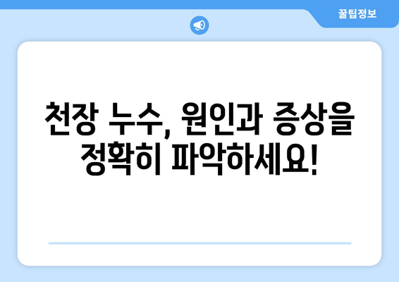 천정 급수배관 누수, 이제 걱정하지 마세요! | 누수 차단, 보수 방법, 전문가 추천