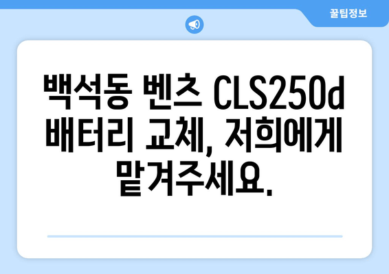 벤츠 CLS250d 배터리 출장 교체| 백석동 밧데리 교체 전문 | 빠르고 안전한 출장 서비스, 합리적인 가격