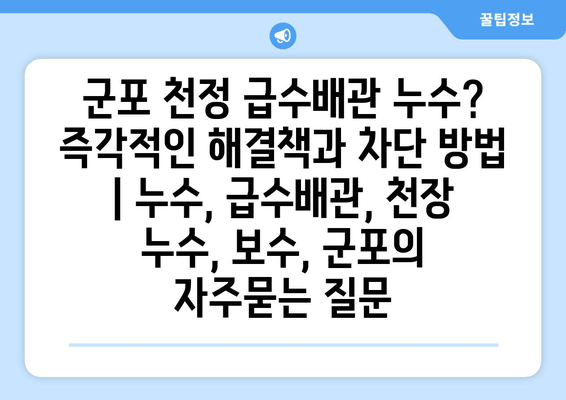 군포 천정 급수배관 누수? 즉각적인 해결책과 차단 방법 | 누수, 급수배관, 천장 누수, 보수, 군포