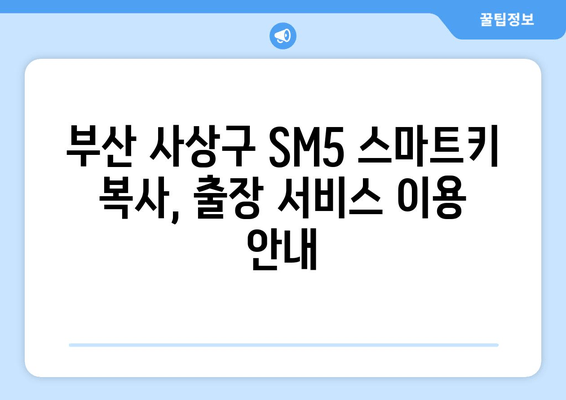 부산 사상구 SM5 스마트키 복사, 출장 서비스 이용 가격 및 절차 안내 | 스마트키 분실, 차키 복사, 출장 서비스