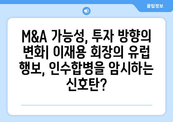 이재용 삼성전자 회장 유럽 출장, 경비 분석에서 드러나는 의미 | 삼성, 유럽 시장, 투자 전략