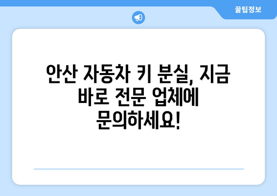 안산 자동차 키 분실? 출장 복사 전문 업체 찾기 | 빠르고 안전하게 해결하세요!