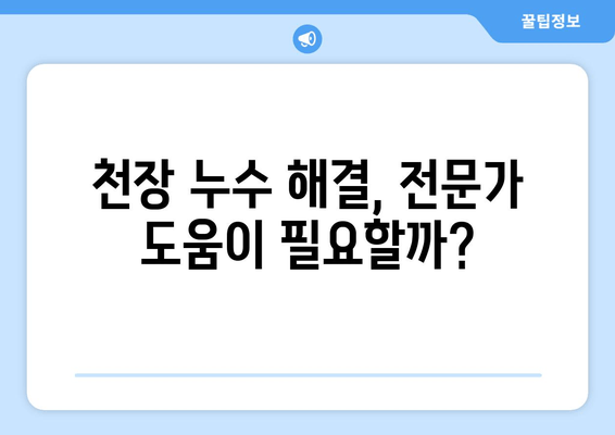 천장 급수관 누수, 즉시 차단하는 방법 | 누수 원인, 해결책, 예방 팁