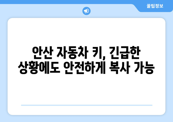 안산 자동차 키 분실? 걱정 마세요!  출장 열쇠 복사로 빠르고 안전하게 해결하세요 | 안산, 자동차 키, 열쇠, 출장, 복사, 긴급