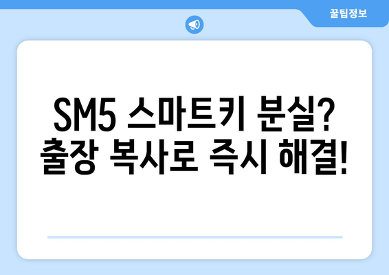 SM5 스마트키 분실? 출장 복사로 빠르게 해결하세요! | 차 키 복사, 스마트키 복사, 자동차 키 분실, 출장 서비스