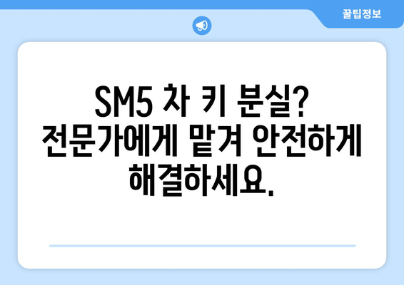 SM5 스마트키 분실? 출장 복사로 빠르게 해결하세요! | 차 키 복사, 스마트키 복사, 자동차 키 분실, 출장 서비스