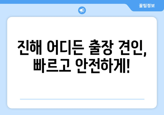 진해 압류 차량, 출장 견인부터 당일 말소까지 완벽 가이드 | 견인, 말소, 절차, 비용, 서류