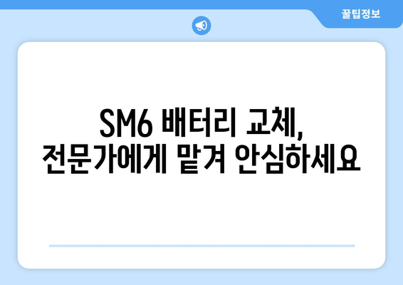 SM6 배터리 출장 교체| 전문가에게 맡기고 편리하게 해결하세요 | 자동차 배터리 교체, 출장 서비스, SM6 배터리