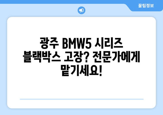 광주 BMW5 시리즈 블랙박스 고장? 출장 시공 전문 업체 | 블랙박스 수리, 교체, AS