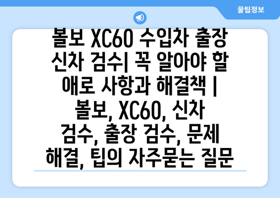 볼보 XC60 수입차 출장 신차 검수| 꼭 알아야 할 애로 사항과 해결책 | 볼보, XC60, 신차 검수, 출장 검수, 문제 해결, 팁