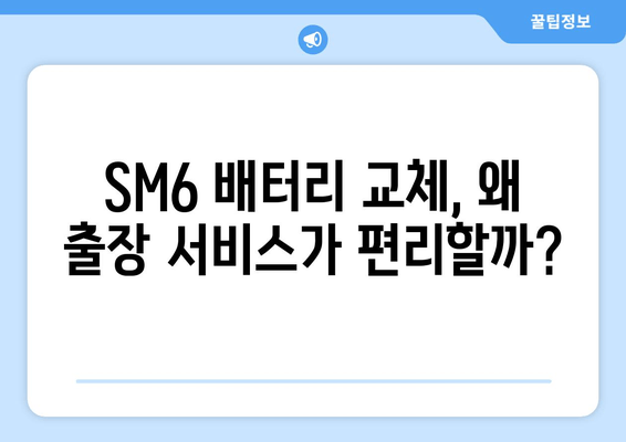 SM6 출장 배터리 교체, 어떤 배터리가 최고일까요? | SM6, 배터리 교체, 출장 서비스, 추천