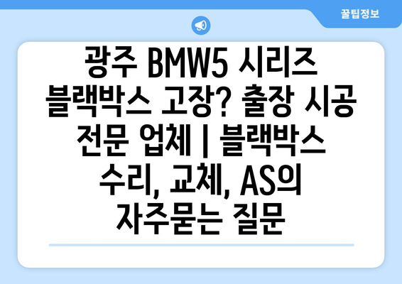 광주 BMW5 시리즈 블랙박스 고장? 출장 시공 전문 업체 | 블랙박스 수리, 교체, AS