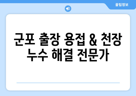 군포 출장 용접| 천장 급수배관 누수 차단 전문가에게 맡겨보세요! | 군포, 천장 누수, 급수배관 보수, 용접