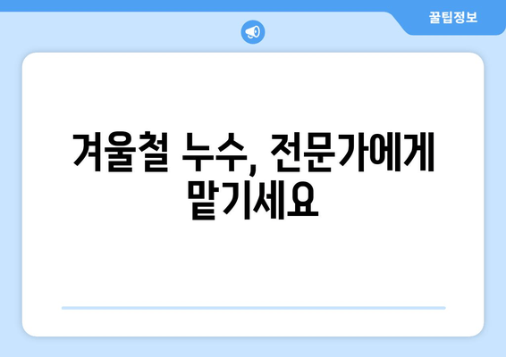 경기광주 동파이프 누수, 완벽 차단 및 보수 성공 사례 | 동파 방지, 겨울철 누수 해결, 전문 업체