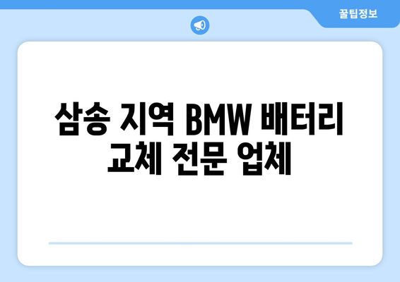 삼송 지역 BMW 배터리 교체 전문 업체 | 출장 가능, 빠르고 안전하게