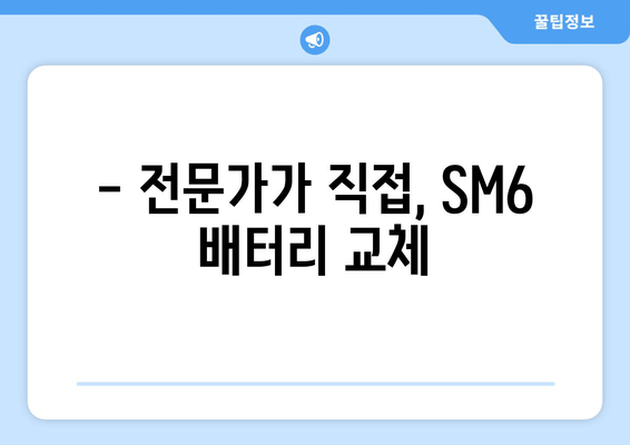 SM6 출장 배터리 교체| 빠르고 안전하게! | 자동차 배터리, 출장 서비스, SM6 배터리 교체