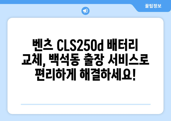 벤츠 CLS250d 배터리 백석동 출장 교체| 빠르고 안전하게 | 벤츠 배터리, 출장 교체, 백석동, 자동차 배터리