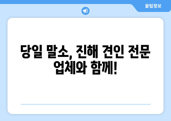 차량 압류 당일 말소? 진해 출장 견인으로 빠르게 해결하세요! | 압류 차량, 견인, 당일 말소, 진해