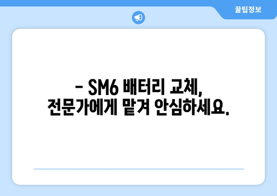 SM6 배터리 출장 교체 | 빠르고 편리하게! | 배터리 교체, 출장 서비스, SM6