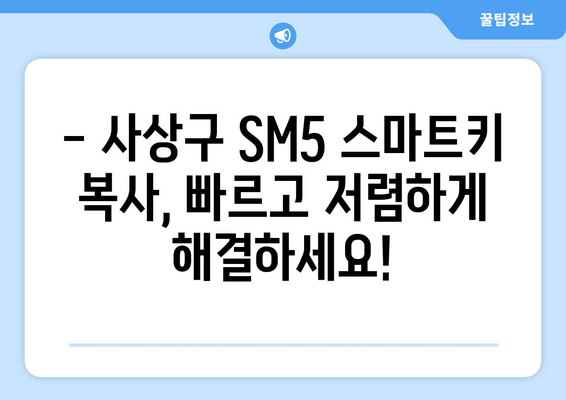 사상구 SM5 스마트키 추가 복사, 출장 서비스 비용 안내 | 차키 분실, 자동차 키 복사, 출장 서비스