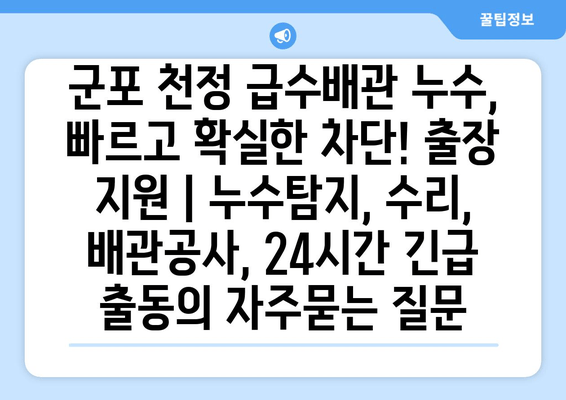 군포 천정 급수배관 누수, 빠르고 확실한 차단! 출장 지원 | 누수탐지, 수리, 배관공사, 24시간 긴급 출동