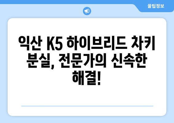 익산 K5 하이브리드 차키 분실? 출장 키 제작 전문가에게 맡겨보세요! | 익산, K5, 하이브리드, 차키, 분실, 출장, 제작, 자동차키