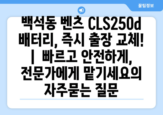 백석동 벤츠 CLS250d 배터리, 즉시 출장 교체! |  빠르고 안전하게, 전문가에게 맡기세요