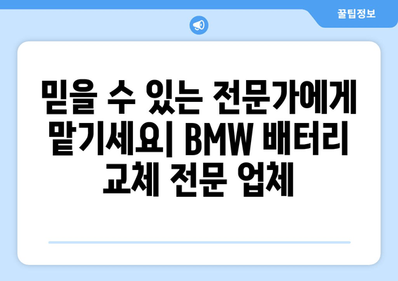 삼송 지역 BMW 배터리 교체 전문 업체 | 출장 가능, 빠르고 안전하게