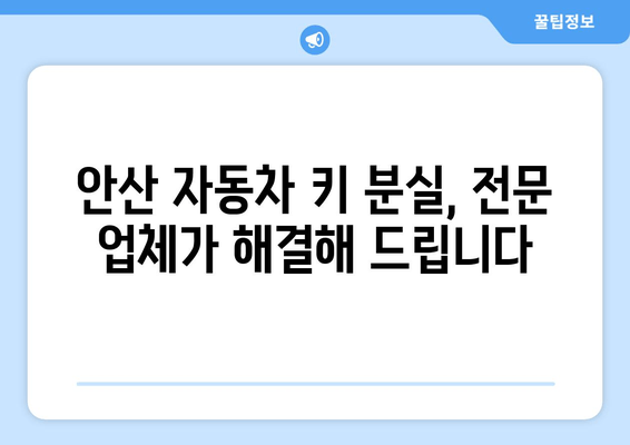 안산 자동차 키 분실? 출장 복사 전문 업체 찾기 | 빠르고 안전하게 해결하세요!