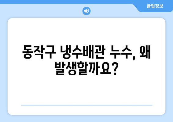 동작구 노후 냉수배관 누수, 현장 방문으로 해결하세요! | 누수 원인 분석, 보수 방법, 비용 안내