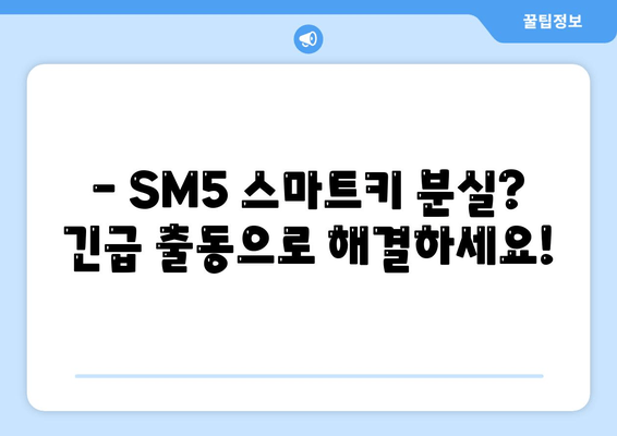 부산 사상구 SM5 스마트키 복사, 출장 차키 서비스 가격 비교 | SM5 스마트키 복사 비용, 차키 분실, 긴급 출동