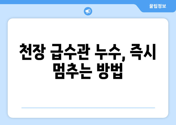 천장 급수관 누수, 즉시 차단하는 방법 | 누수 원인, 해결책, 예방 팁