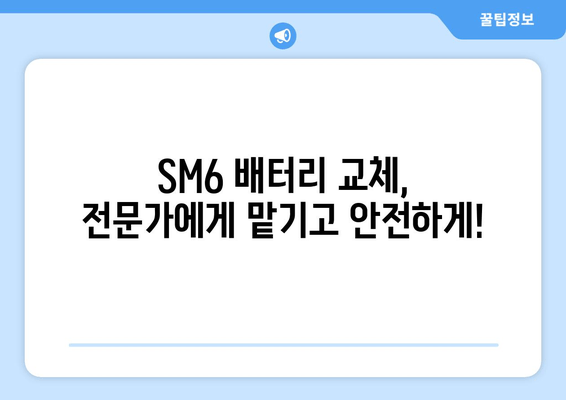 SM6 배터리 출장 교체| 빠르고 편리하게 해결하세요! | 자동차 배터리 교체, 출장 서비스, SM6 배터리