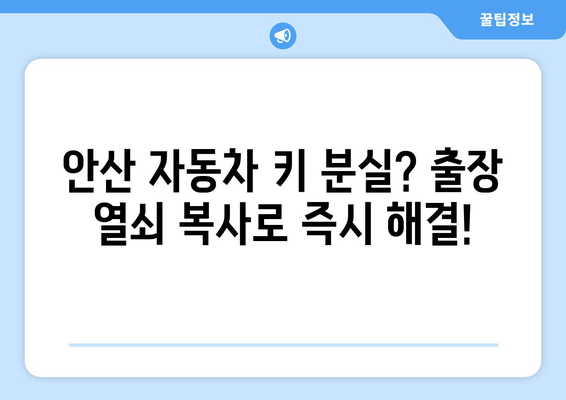 안산 자동차 키 분실? 걱정 마세요!  출장 열쇠 복사로 빠르고 안전하게 해결하세요 | 안산, 자동차 키, 열쇠, 출장, 복사, 긴급