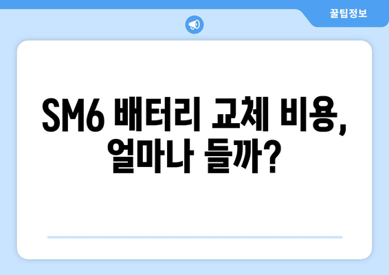 SM6 출장 배터리 교체, 어떤 배터리가 최고일까요? | SM6, 배터리 교체, 출장 서비스, 추천