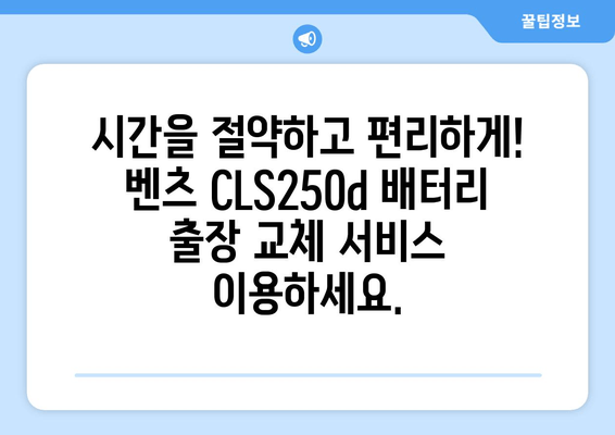 벤츠 CLS250d 배터리 출장 교체| 백석동 밧데리 교체 전문 | 빠르고 안전한 출장 서비스, 합리적인 가격