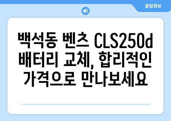 벤츠 CLS250d 배터리 백석동 출장 교체| 빠르고 안전하게 | 벤츠 배터리, 출장 교체, 백석동, 자동차 배터리