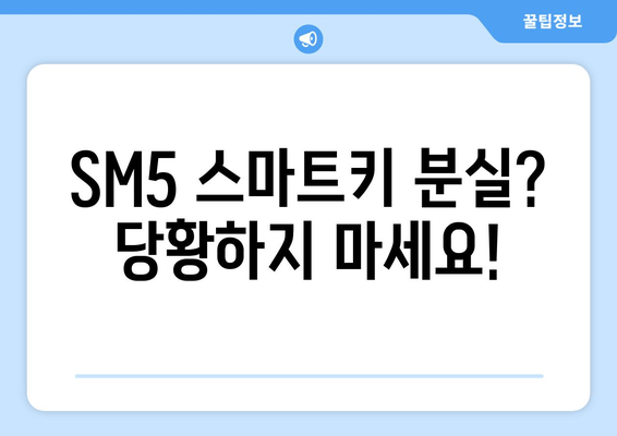 부산 사상구 SM5 스마트키 복사, 출장 서비스 이용 가격 및 절차 안내 | 스마트키 분실, 차키 복사, 출장 서비스