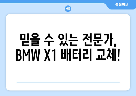 BMW X1 배터리 출장 교체 전문 | 덕양구 삼송 지역 빠르고 안전하게 |